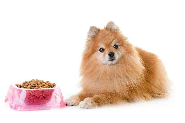 Saborizantes para comida de mascotas